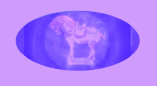 08220805_what_are_collectibles_what_will_be_collectible001008.jpg