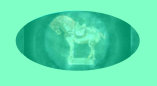 08220805_what_are_collectibles_what_will_be_collectible001010.jpg